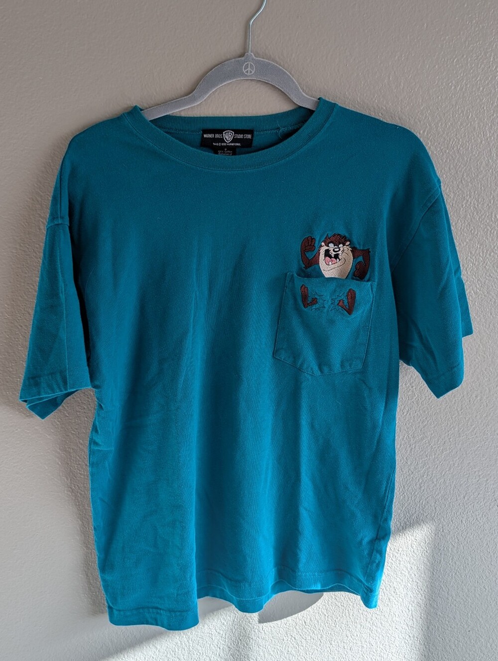 Vintage 1995 Taz Pocket T-Shirt Warner Bros Studio Store Teal Looney Tunes 1990s